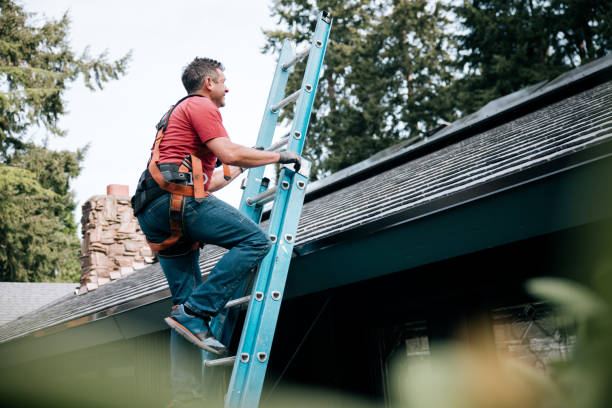 Best Metal Roofing Installation  in Bolindale, OH